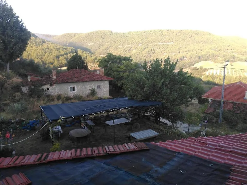 Hotel Sato Koeyevi-Selendi 0*, Selendi